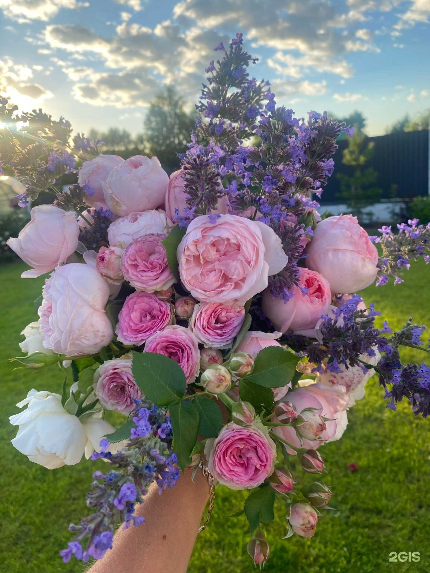 Отзывы на компанию Магазин цветов в г. Уфа c фото