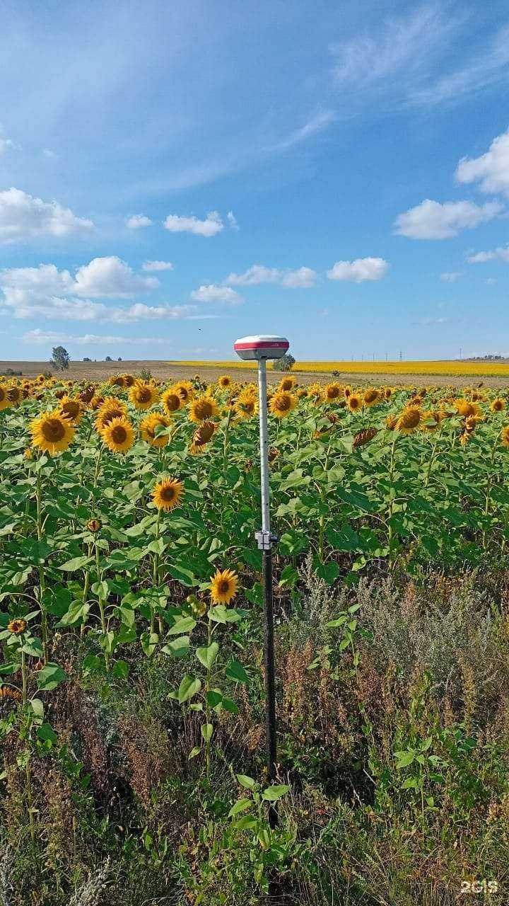 Отзывы на компанию Меридиан в Миассе c фото