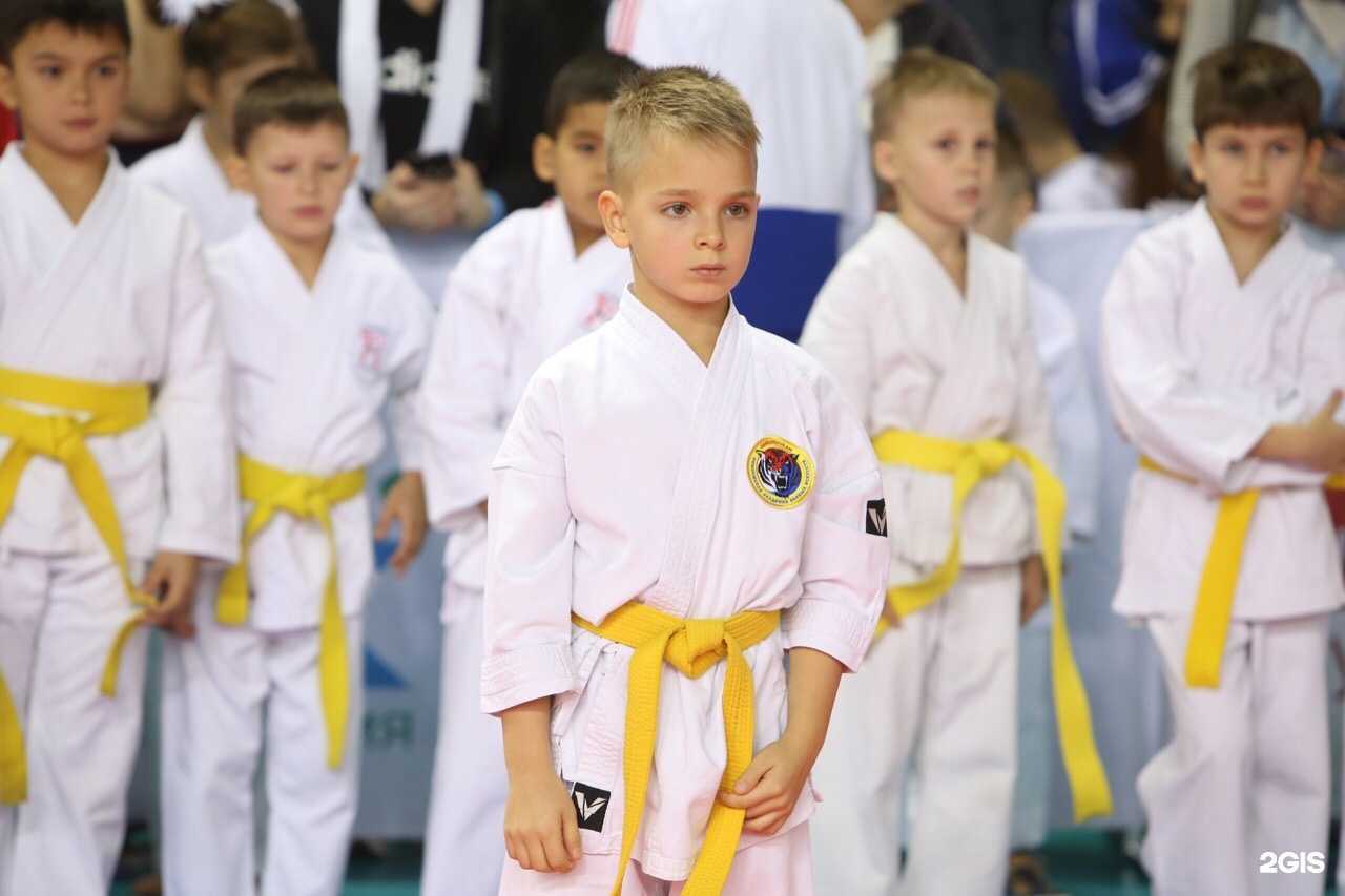 Отзывы на компанию Поволжская академия боевых искусств в г. Тольятти c фото