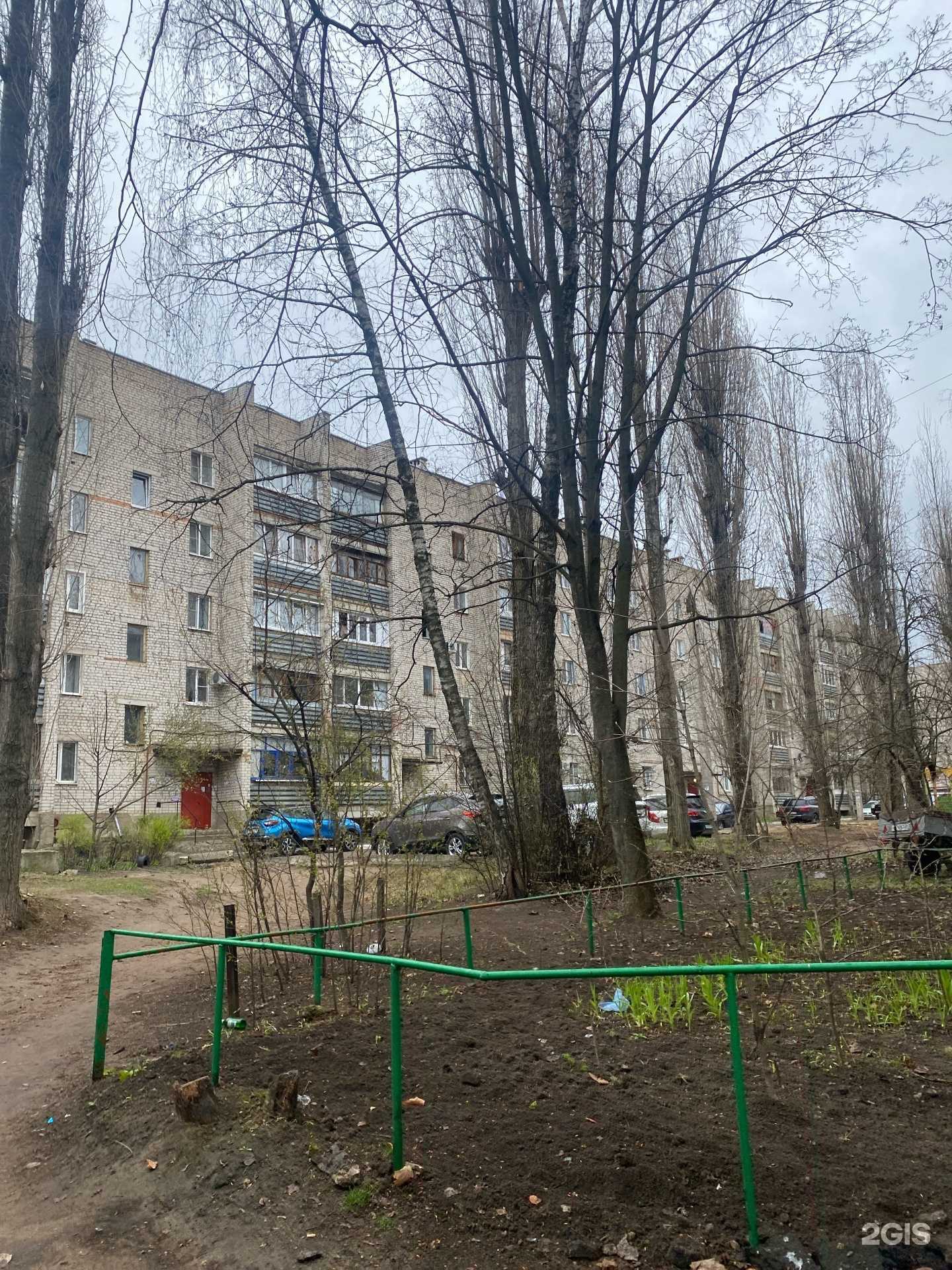 Отзывы на компанию Модные детки в Воронеже c фото - фотография 2 из 2