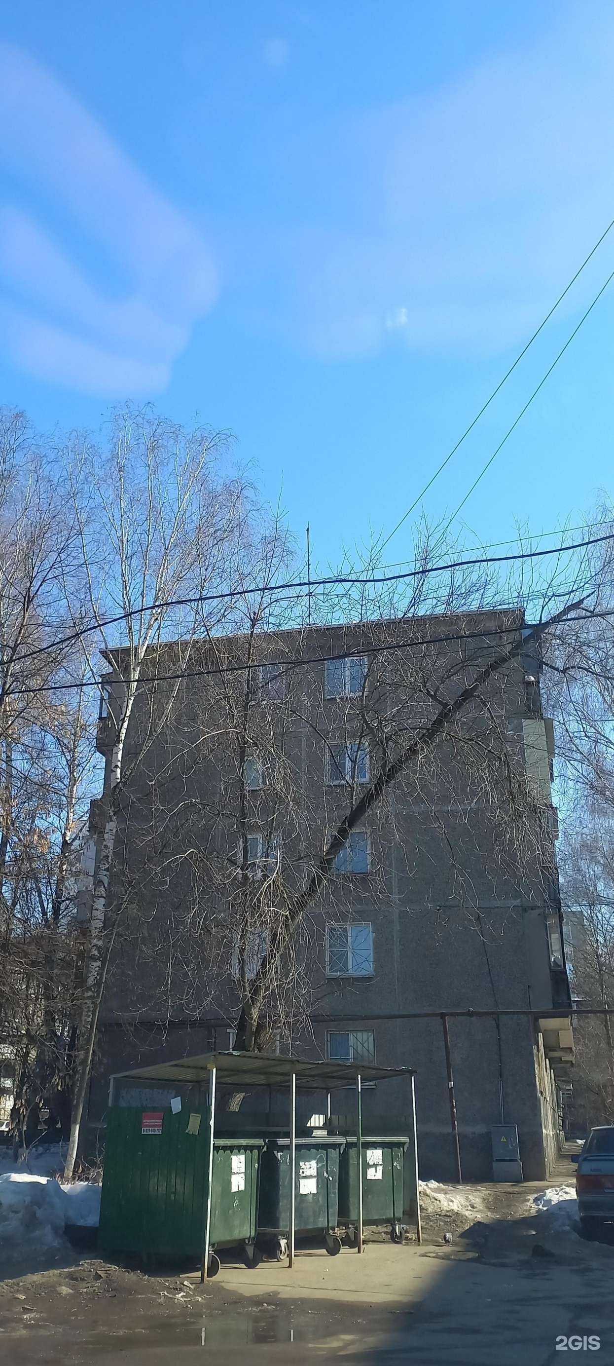 Отзывы на компанию Лето в Нижнем Новгороде c фото - фотография 2 из 2