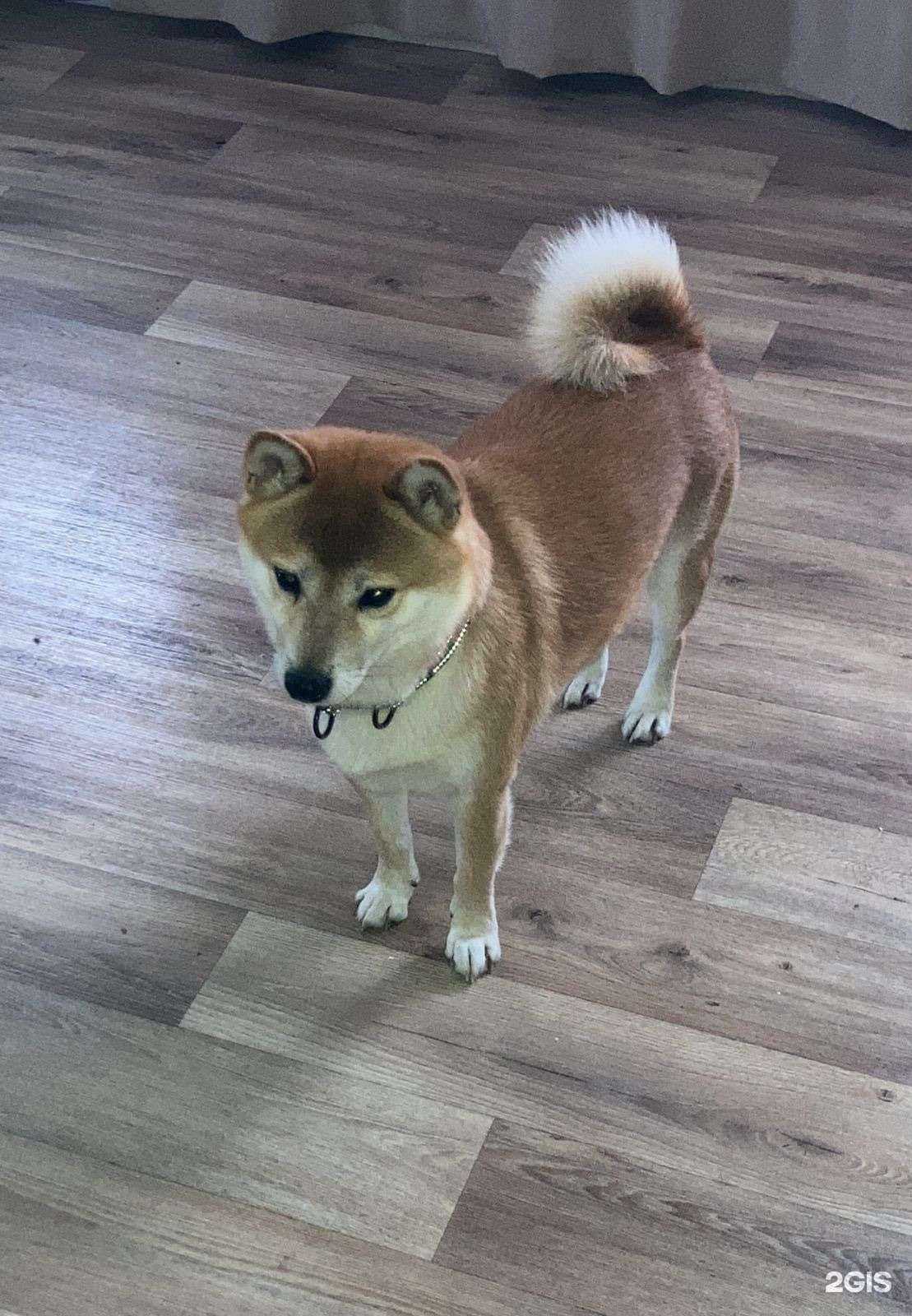 Отзывы на компанию Наш Дом в г. Барнаул c фото