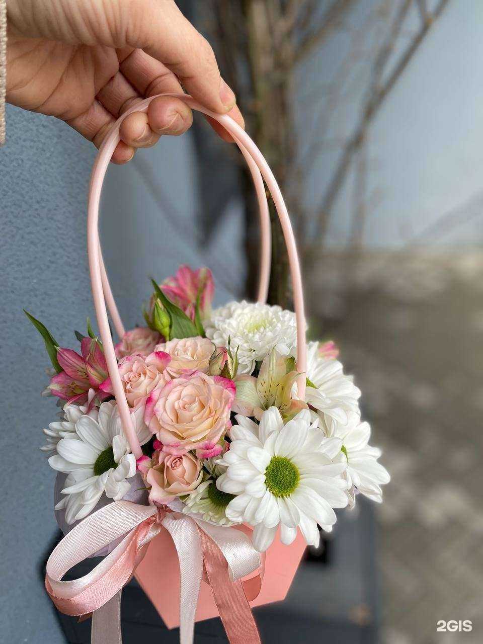 Отзывы на компанию София в Петрозаводске c фото