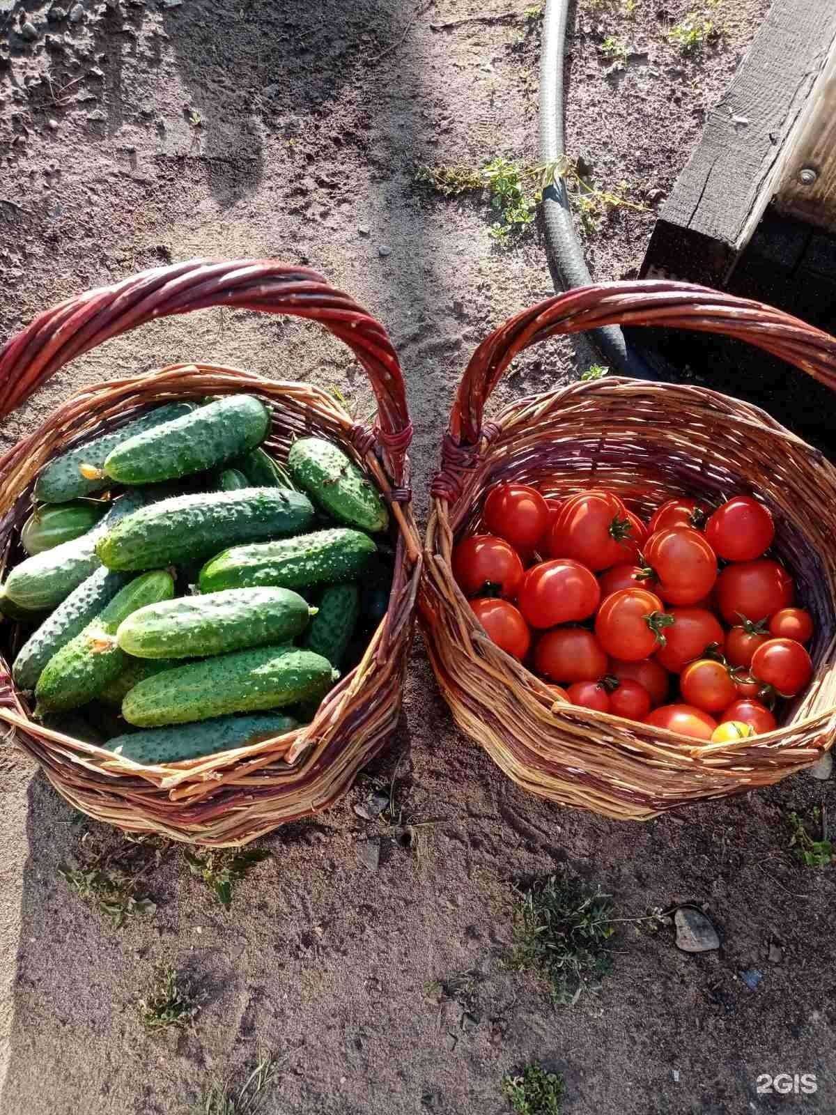 Отзывы на компанию Сота в г. Иркутск c фото