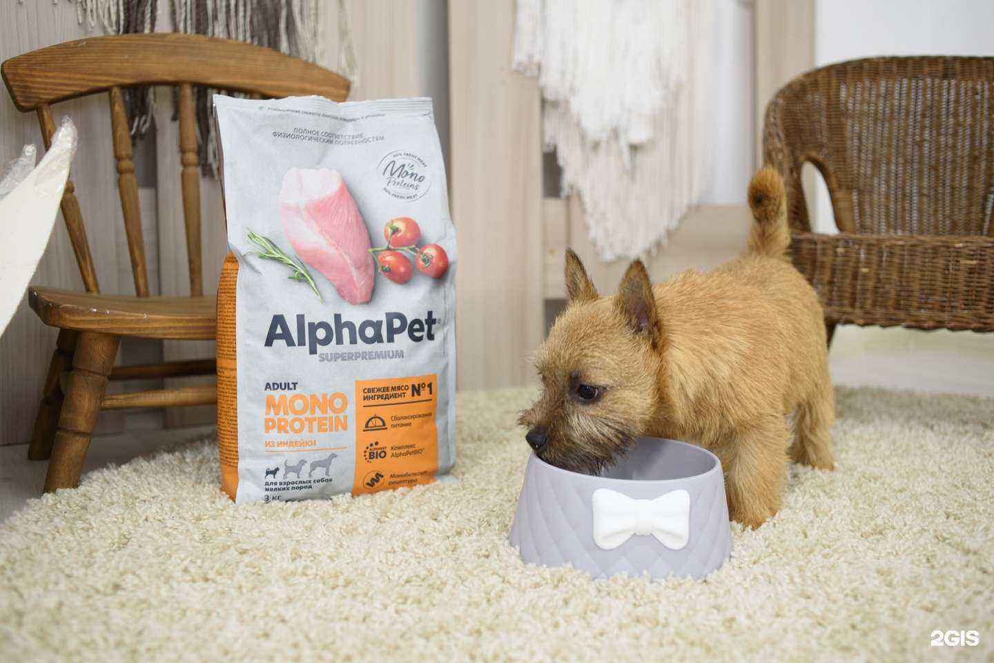 Отзывы на компанию Зooрай в г. Тюмень c фото