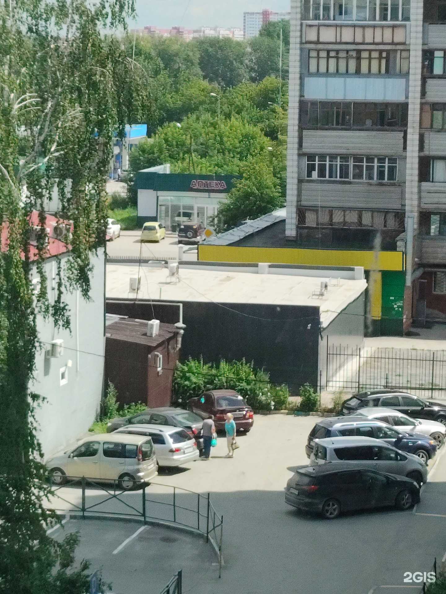 Отзывы на компанию Мокрый нос в Новосибирске c фото - фотография 2 из 2