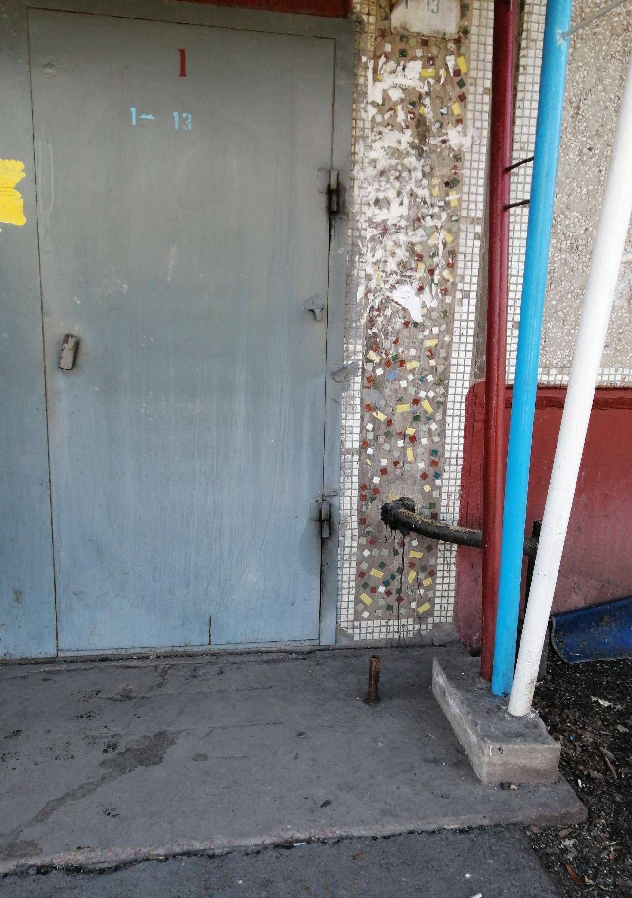 Отзывы на компанию Агентство по доставке воздушных шаров в Омске c фото - фотография 2 из 2