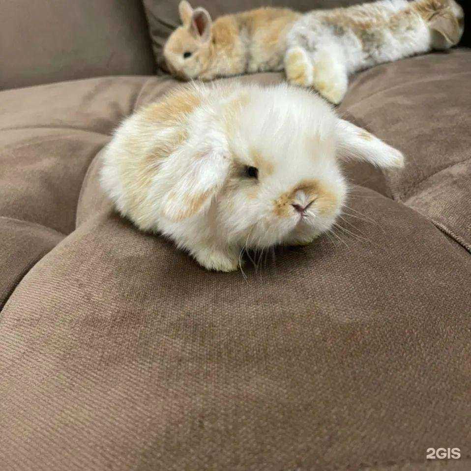 Отзывы на компанию Аквариум в Грозном c фото