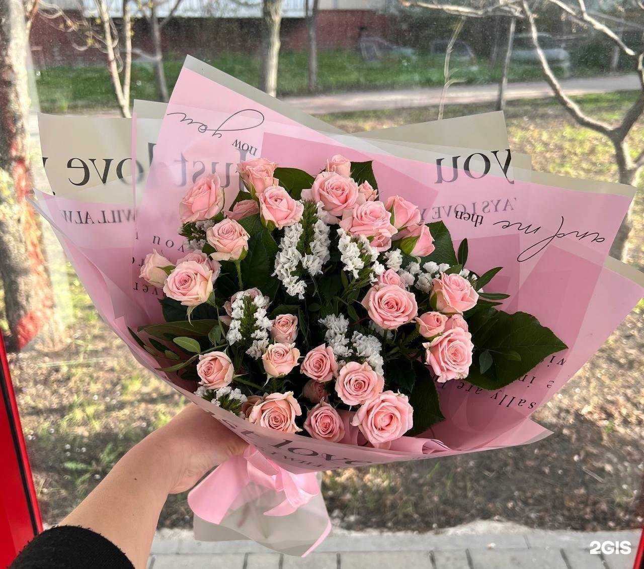 Отзывы на компанию Пальма в Белгороде c фото