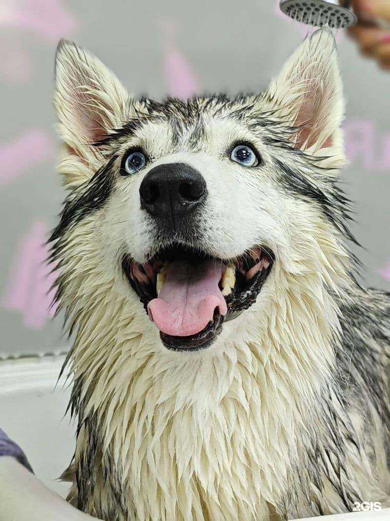 Отзывы на компанию Милорд в Красногорске c фото