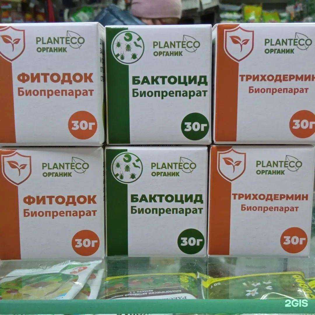 Отзывы на компанию Стройсад в г. Комсомольск-на-Амуре c фото