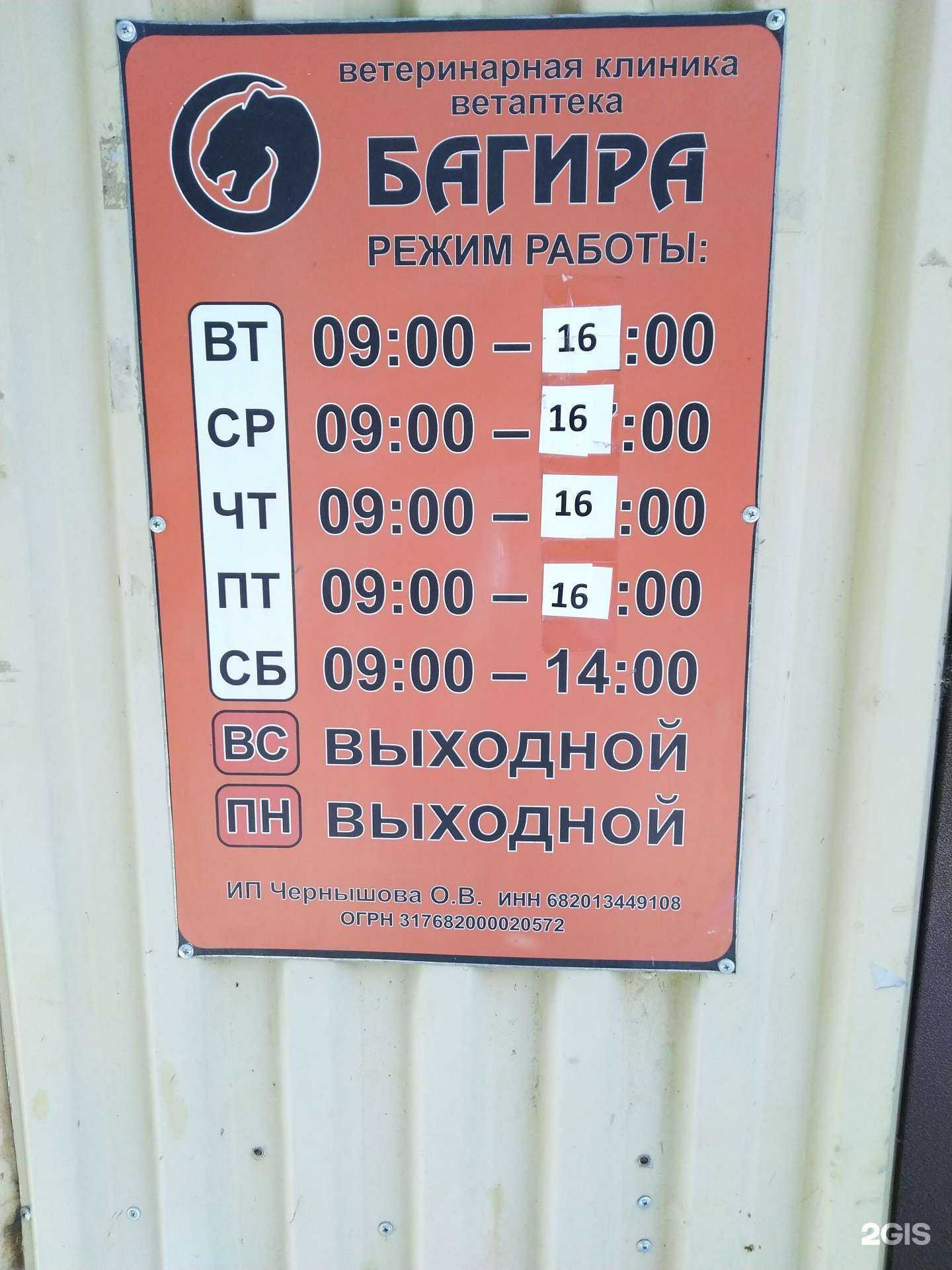 Отзывы на компанию Багира в г. Котовск c фото