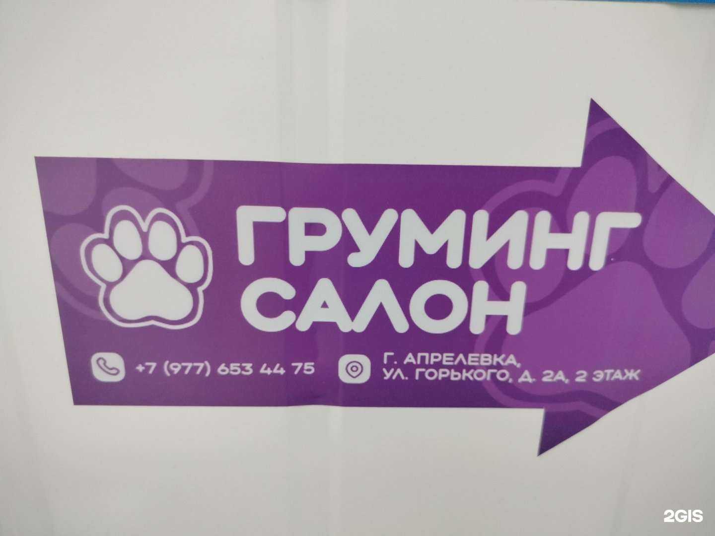 Отзывы на компанию Салон груминга в г. Апрелевка c фото