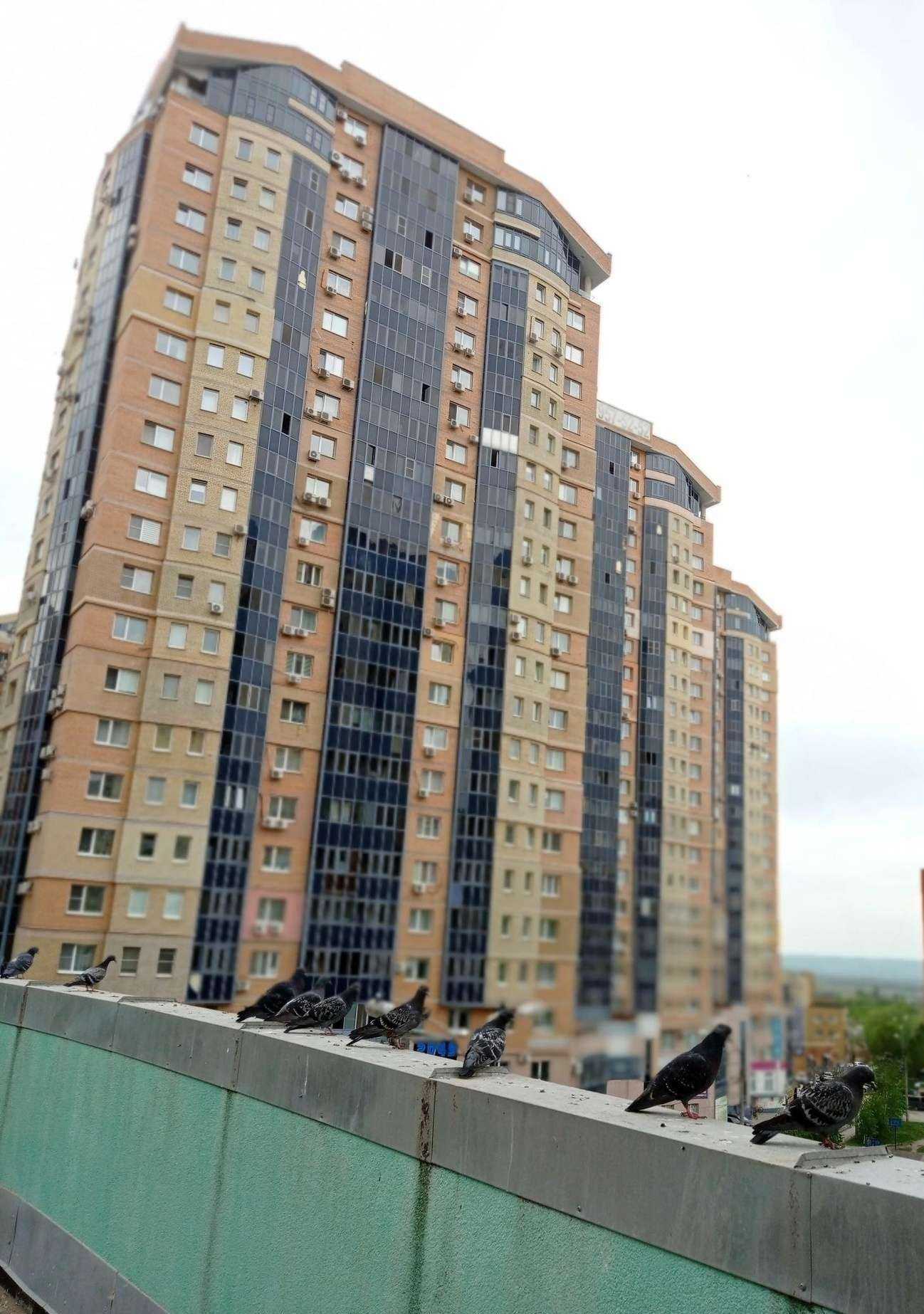 Отзывы на компанию Малевич Шоу в Самаре c фото - фотография 2 из 2