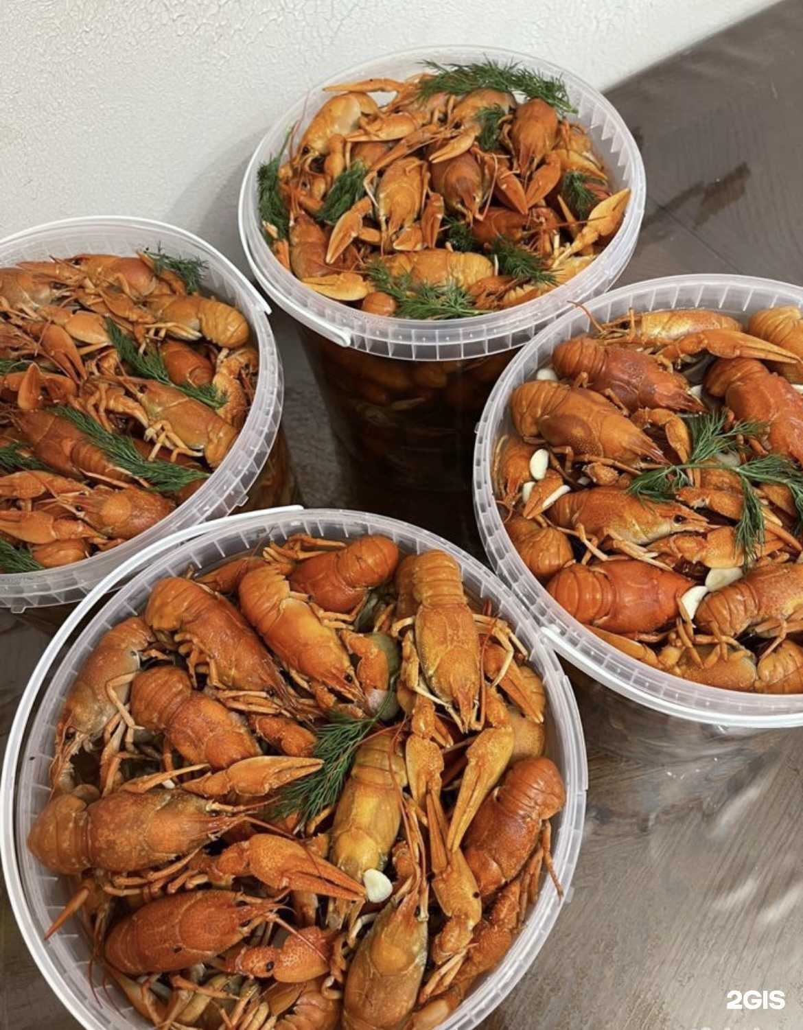 Отзывы на компанию Служба доставки живых и вареных раков в г. Краснодар c фото