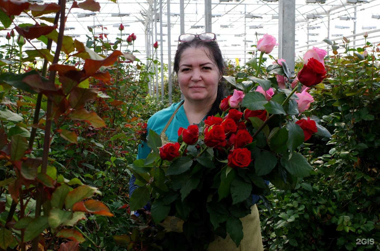 Отзывы на компанию Пригородный в Сыктывкаре c фото