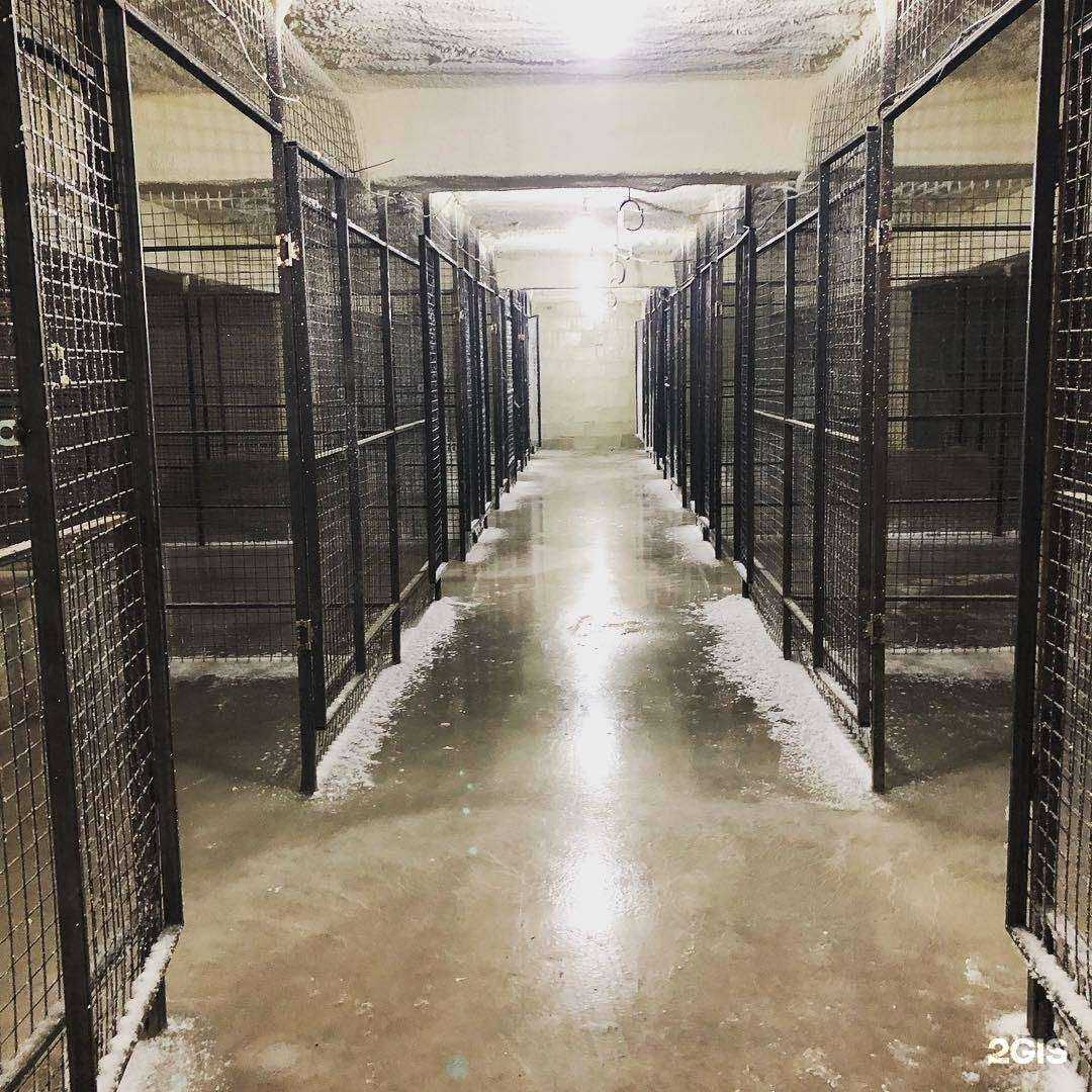 Отзывы на компанию Aosiboya в г. Якутск c фото