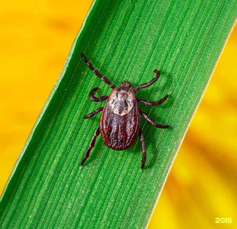 Отзывы на компанию Будь уверен в Екатеринбурге c фото