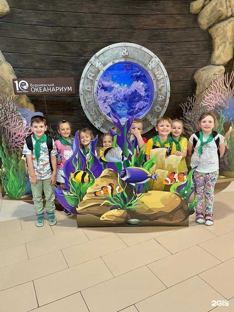 Отзывы на компанию Мудрёна в г. Воронеж c фото