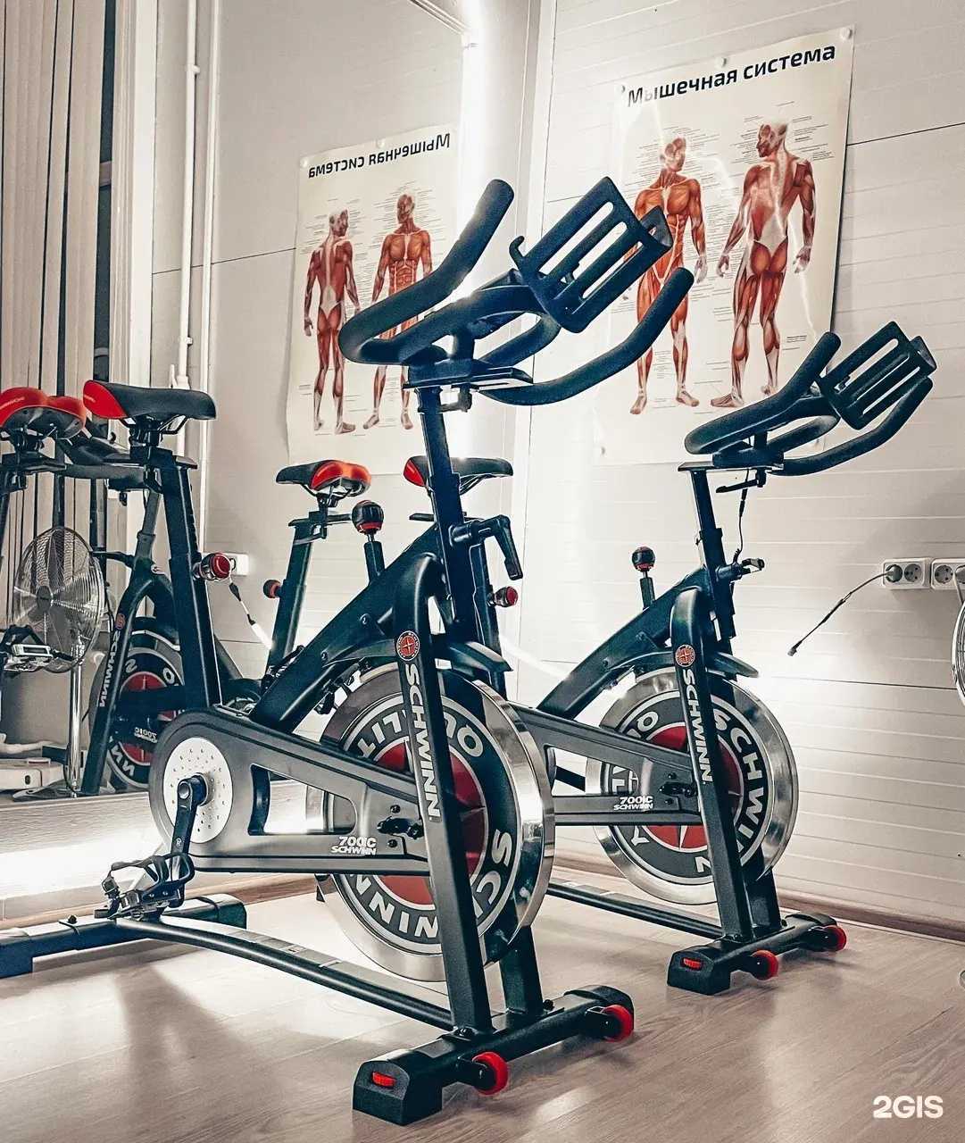 Отзывы на компанию Les Fitness в г. Тверь c фото