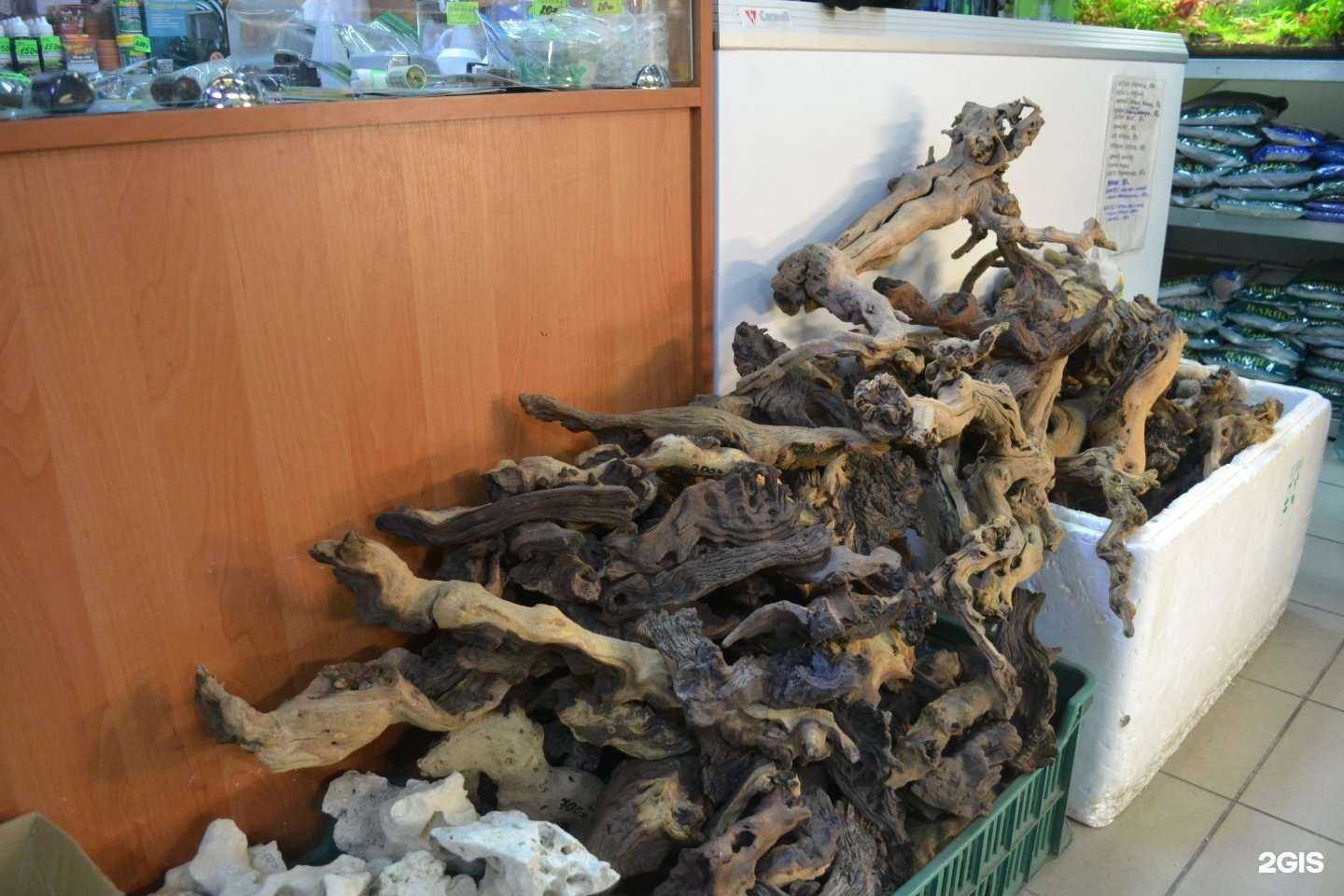 Отзывы на компанию Аквариумист в г. Калининград c фото