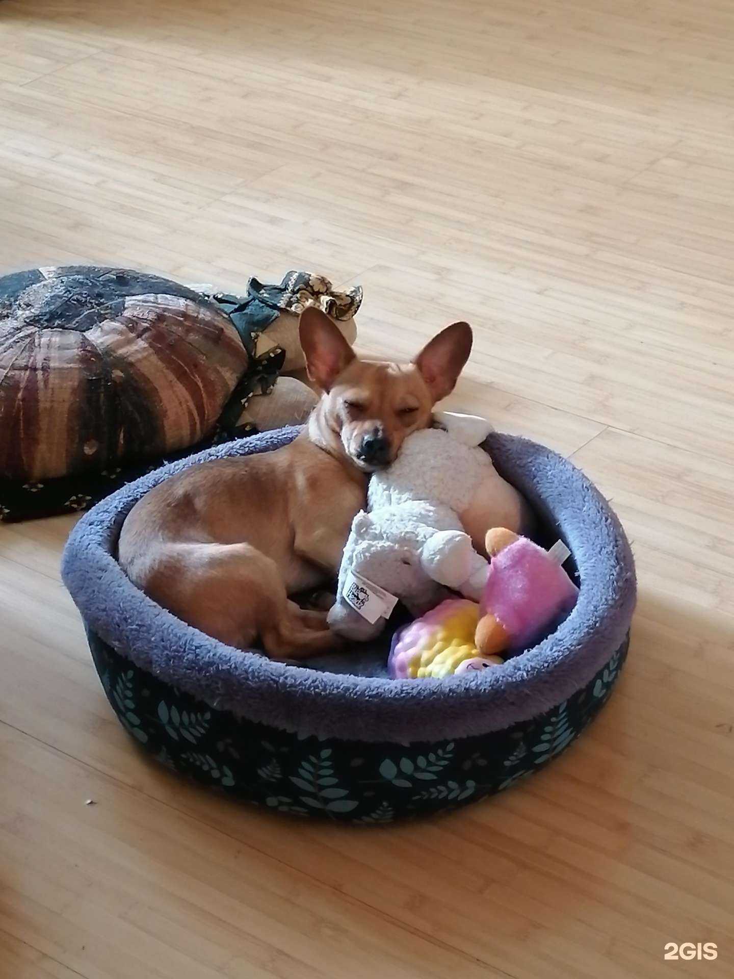 Отзывы на компанию ВетБлюз в Казани c фото