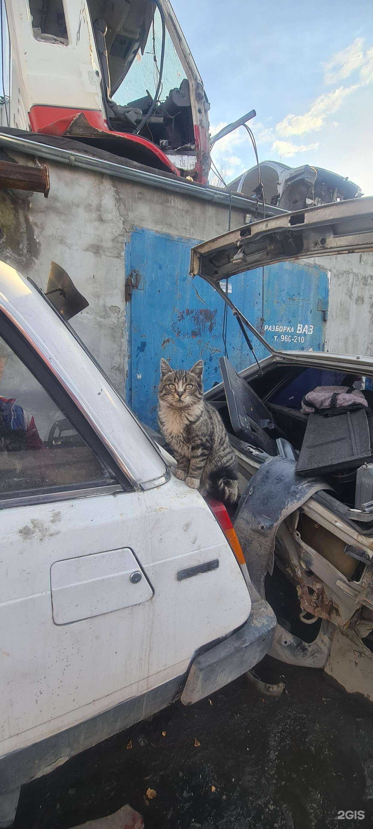 Отзывы на компанию Кредосервис в Красноярске c фото