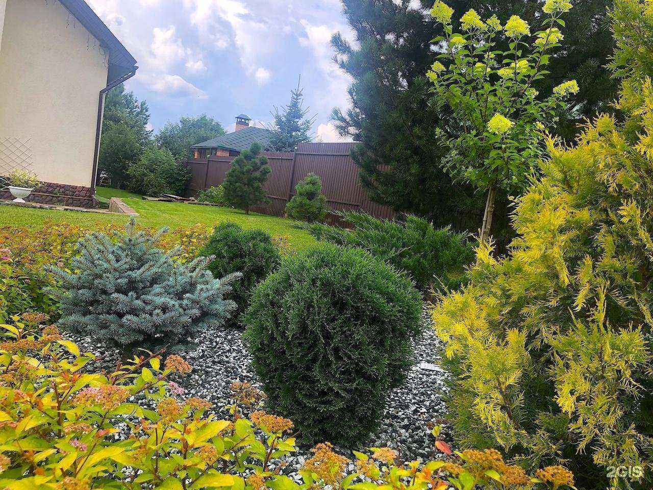 Отзывы на компанию Ваш Сад в г. Ижевск c фото