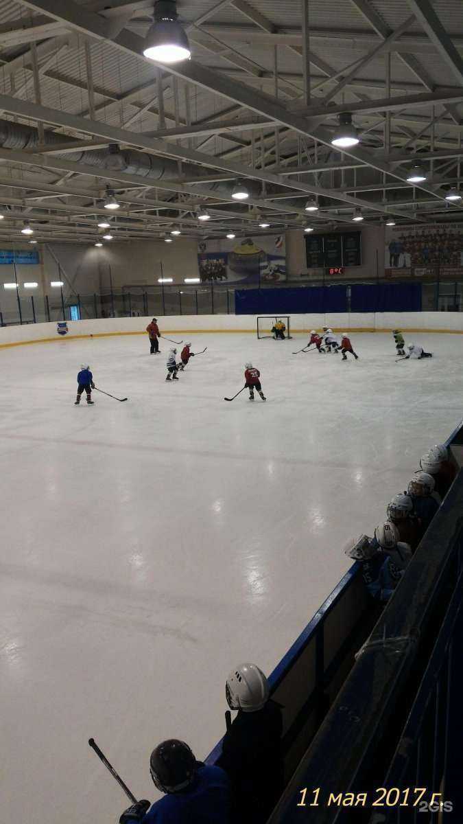 Отзывы на компанию Спортивная школа по спортивным танцам в Новосибирске c фото - фотография 2 из 2