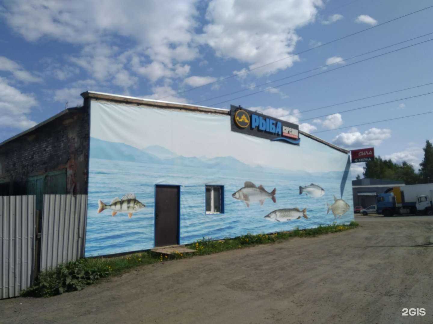 Отзывы на компанию Рыба Карелии в г. Петрозаводск c фото