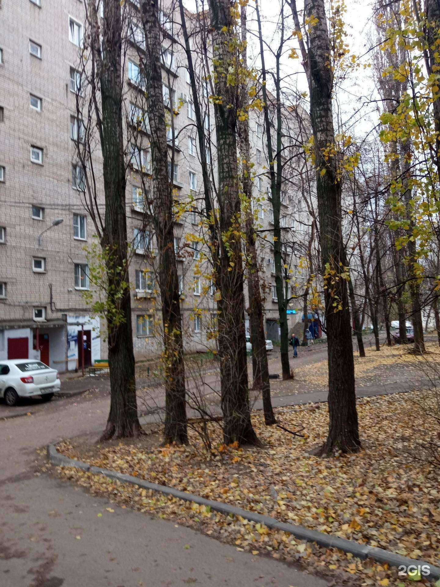 Отзывы на компанию Candi nails в Воронеже c фото - фотография 2 из 2