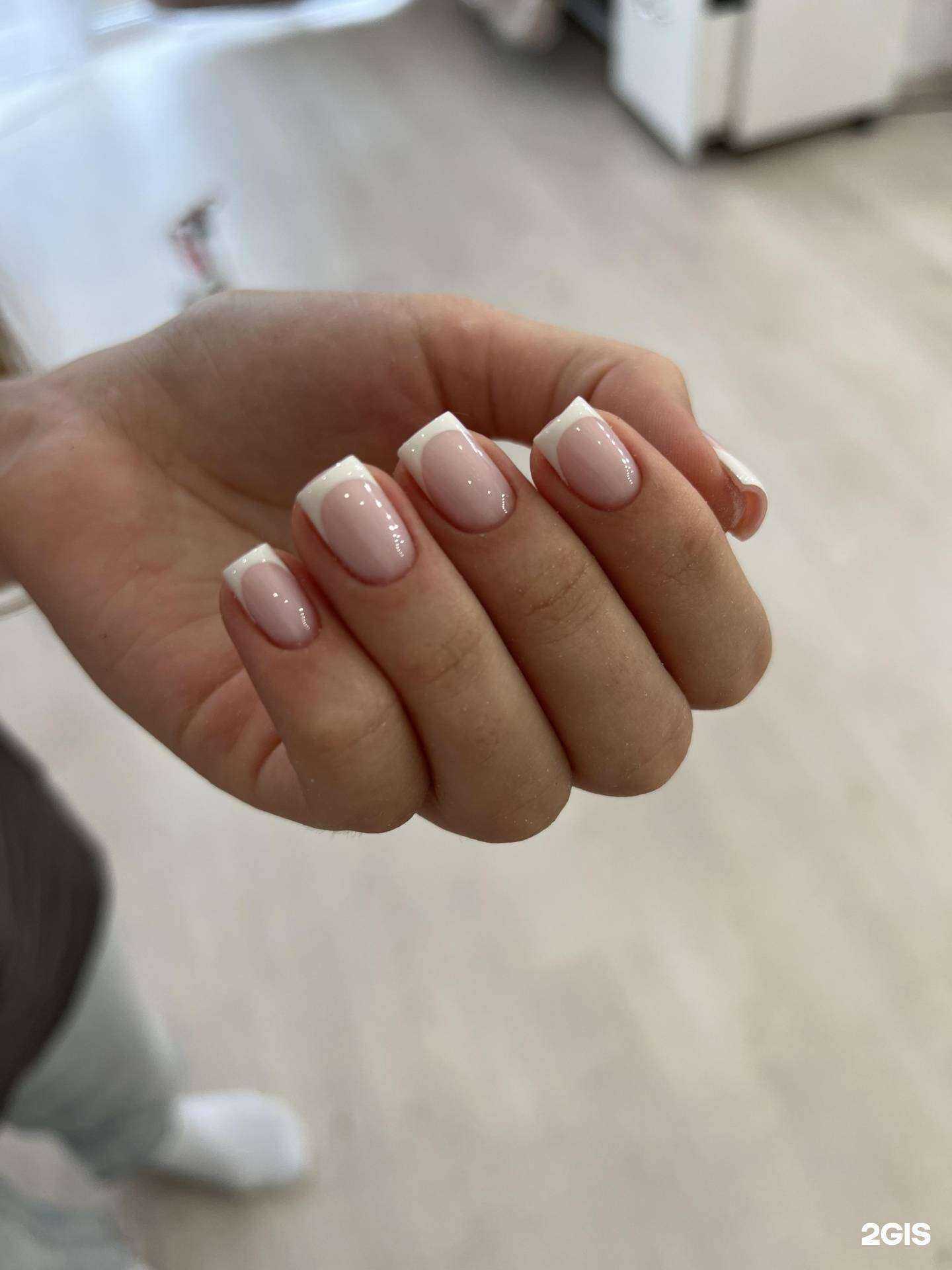 Отзывы на компанию Snail studio&school в г. Димитровград c фото