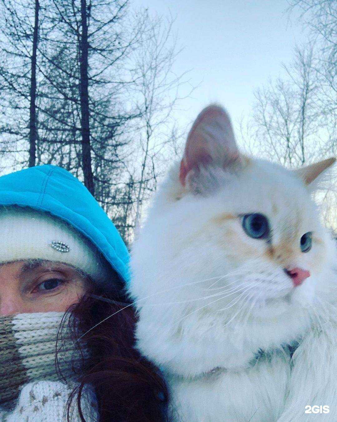 Отзывы на компанию Голубой лотос в г. Ачинск c фото