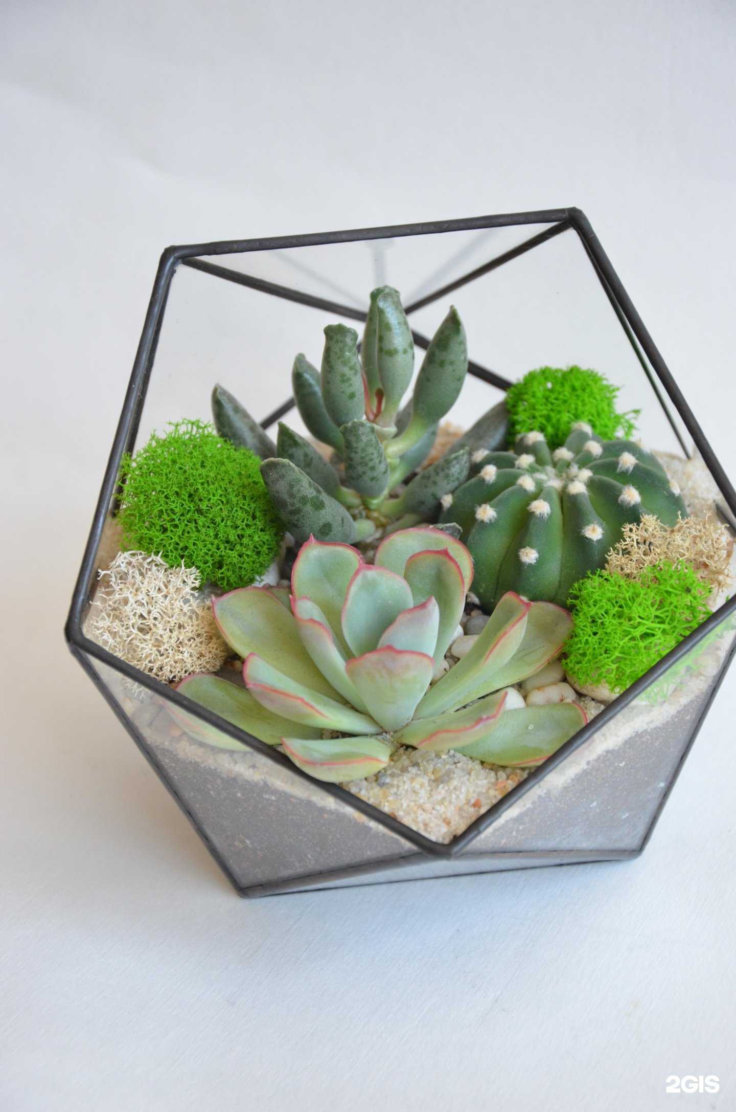 Отзывы на компанию Art Cube в Ставрополе c фото