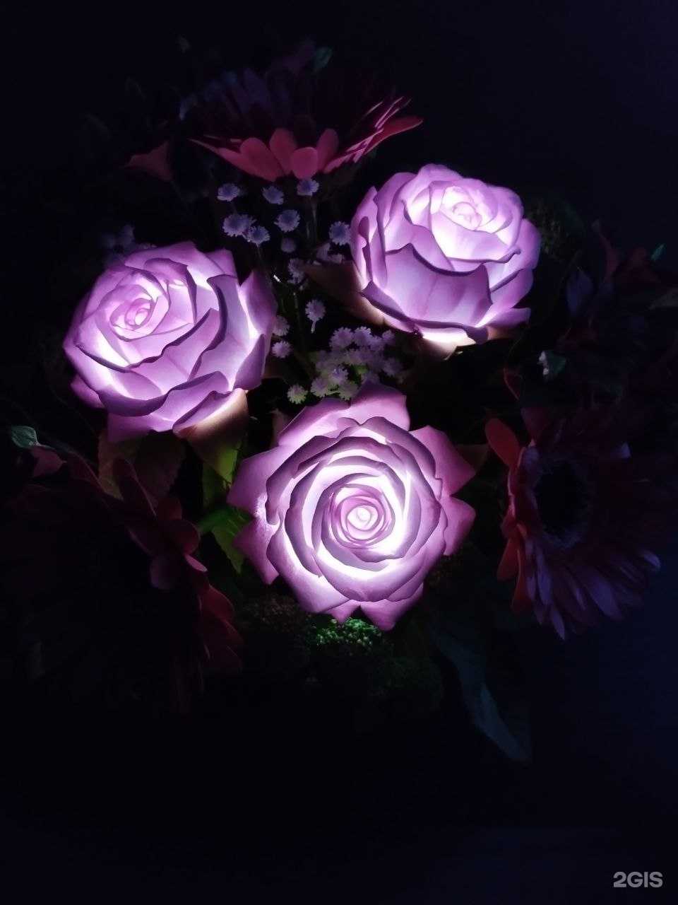 Отзывы на компанию Удачник в Самаре c фото