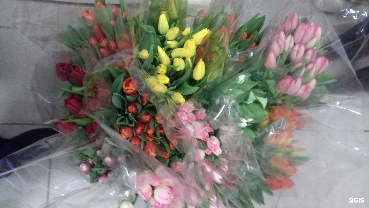 Отзывы на компанию Цветы для вас в Нижнем Тагиле c фото