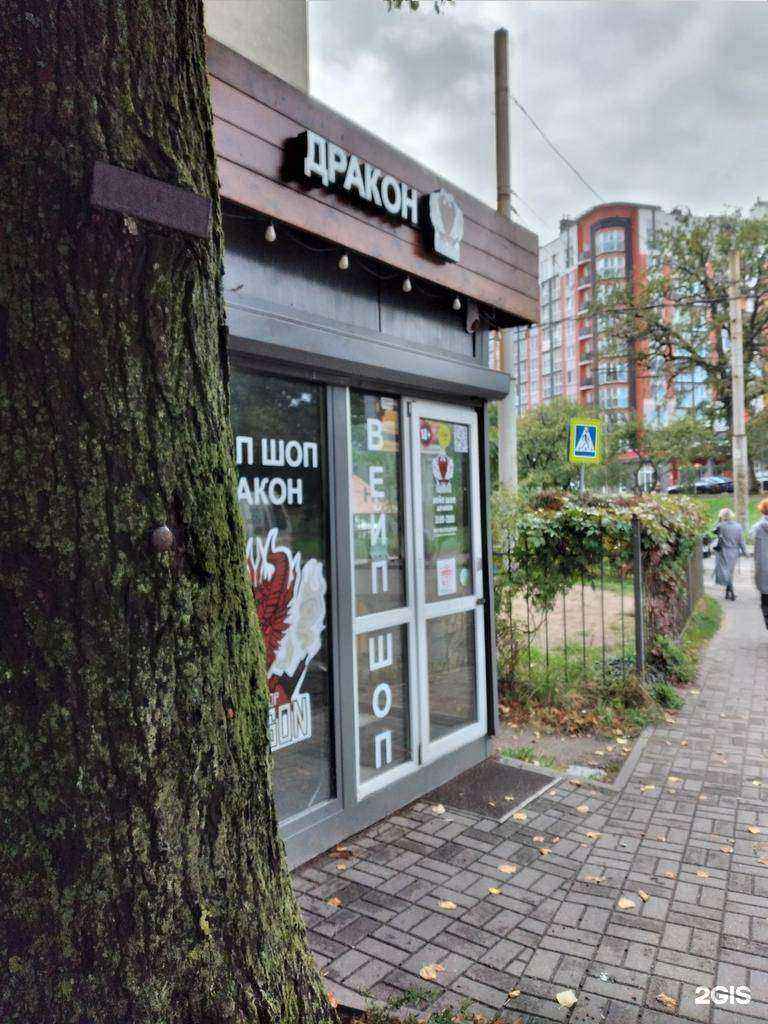 Отзывы на компанию Dragon в Калининграде c фото