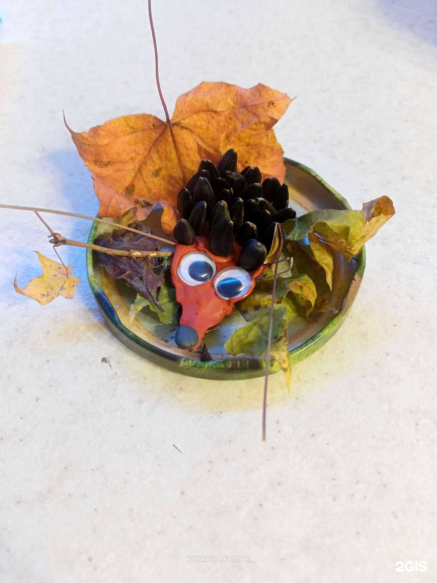 Отзывы на компанию Изумрудный город в Хабаровске c фото