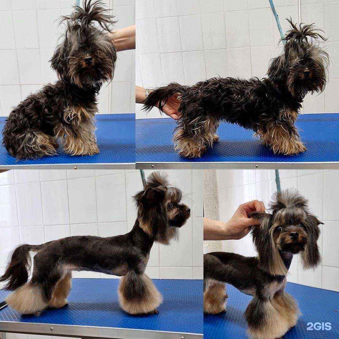 Отзывы на компанию Гармония в Химках c фото