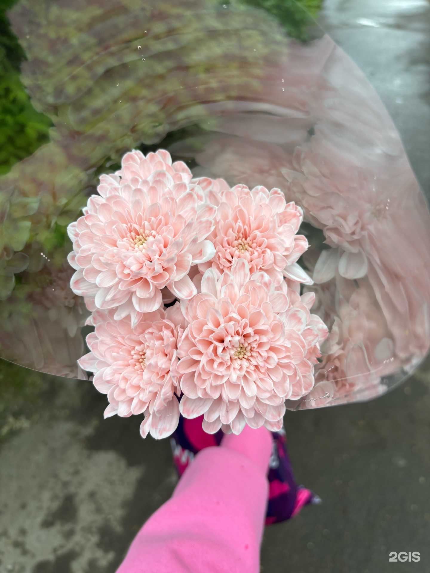 Отзывы на компанию CvetNik в Омске c фото