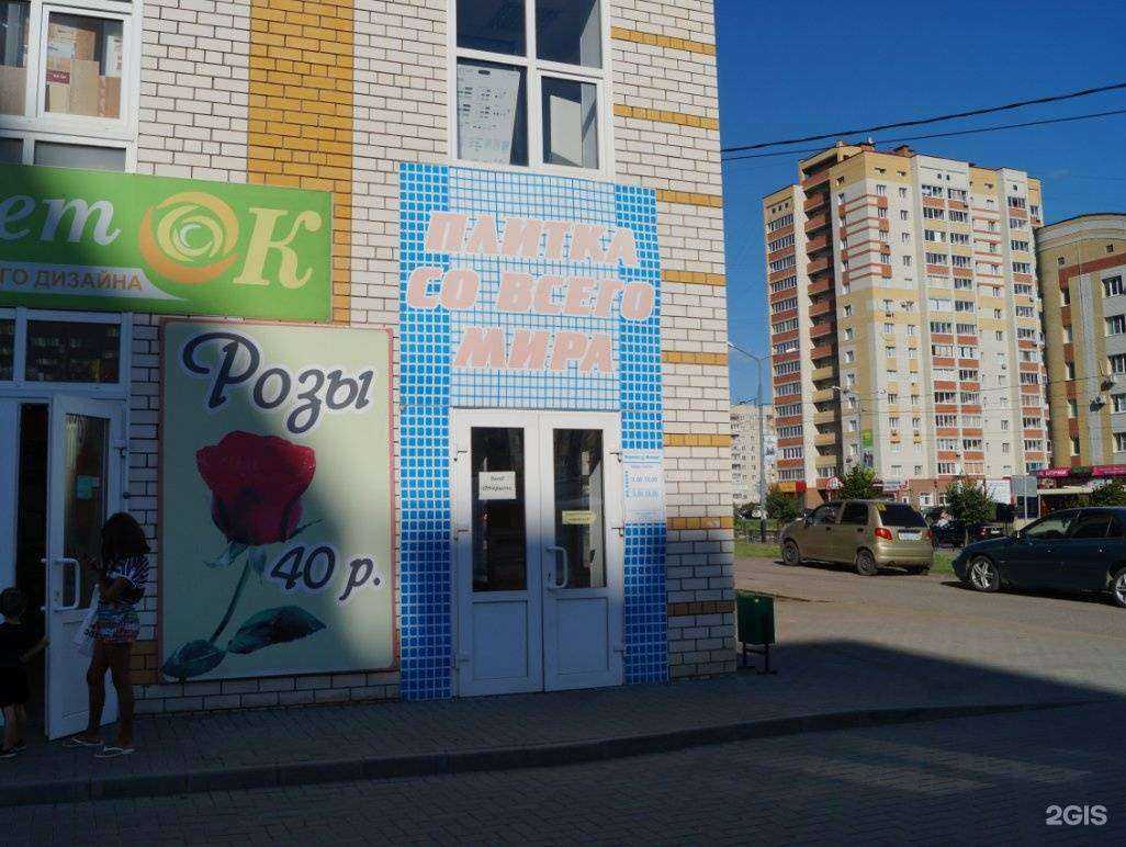 Отзывы на компанию Центр керамики в Тамбове c фото