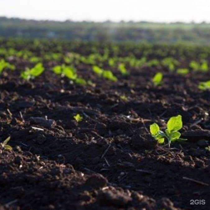 Отзывы на компанию Усадьба в г. Артём c фото