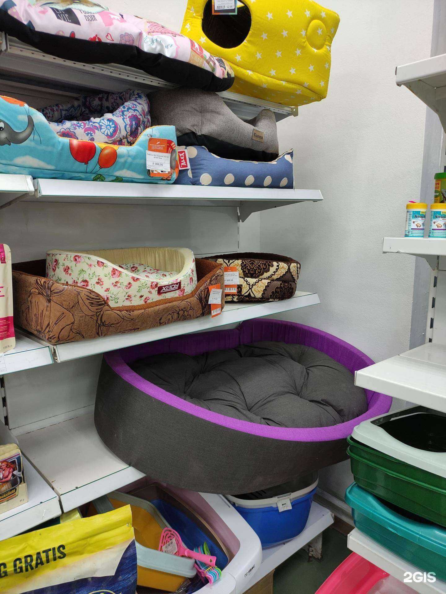 Отзывы на компанию Эндемик в г. Иркутск c фото