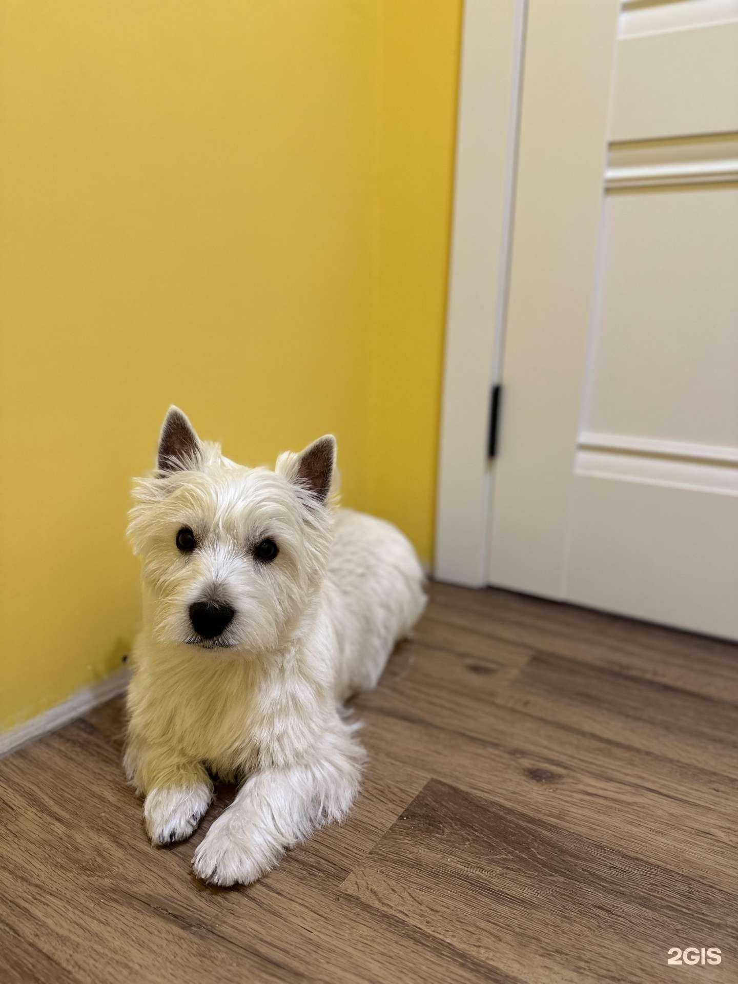 Отзывы на компанию Велма в г. Новосибирск c фото