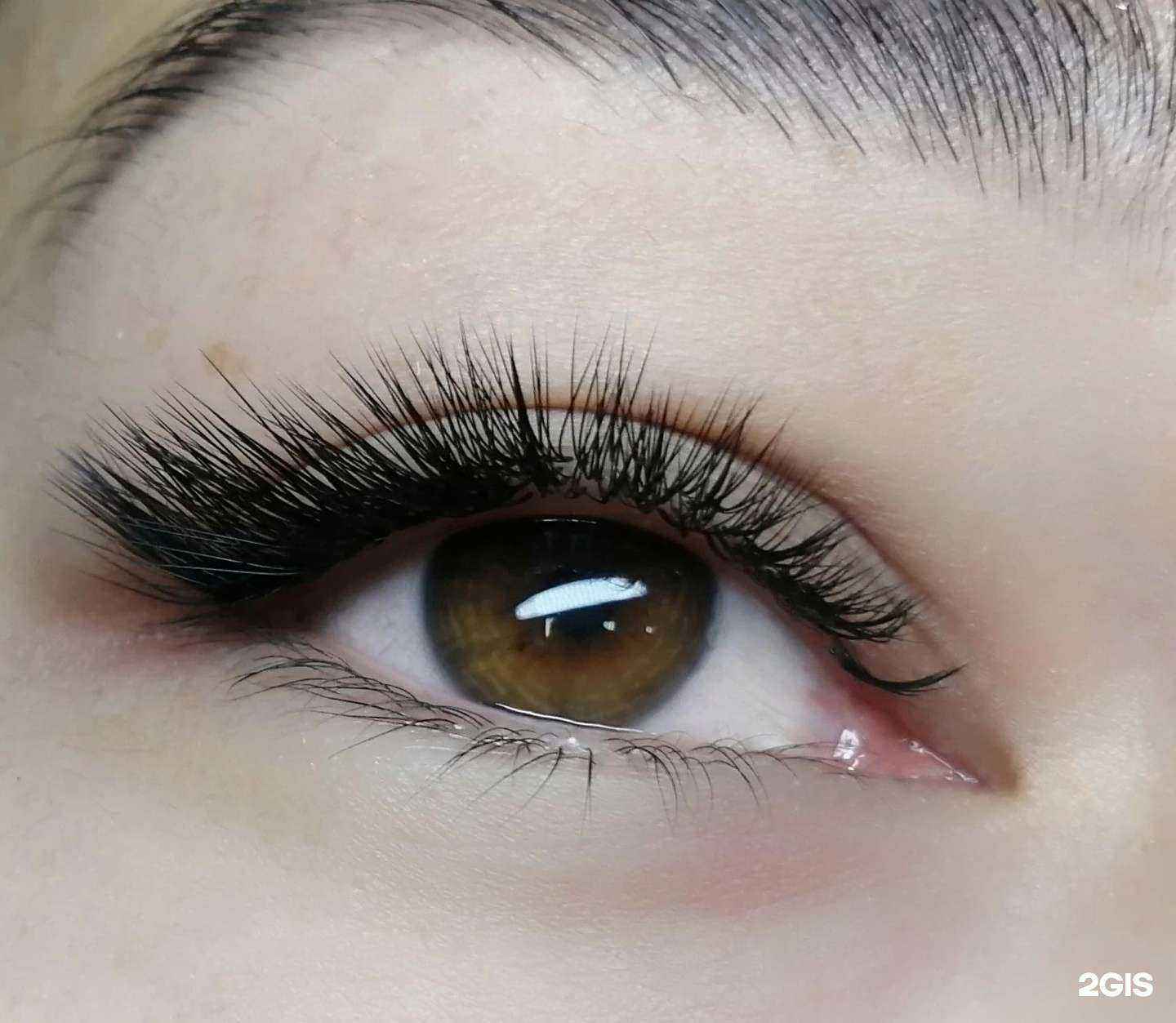 Отзывы на компанию Ежевика в Боре c фото