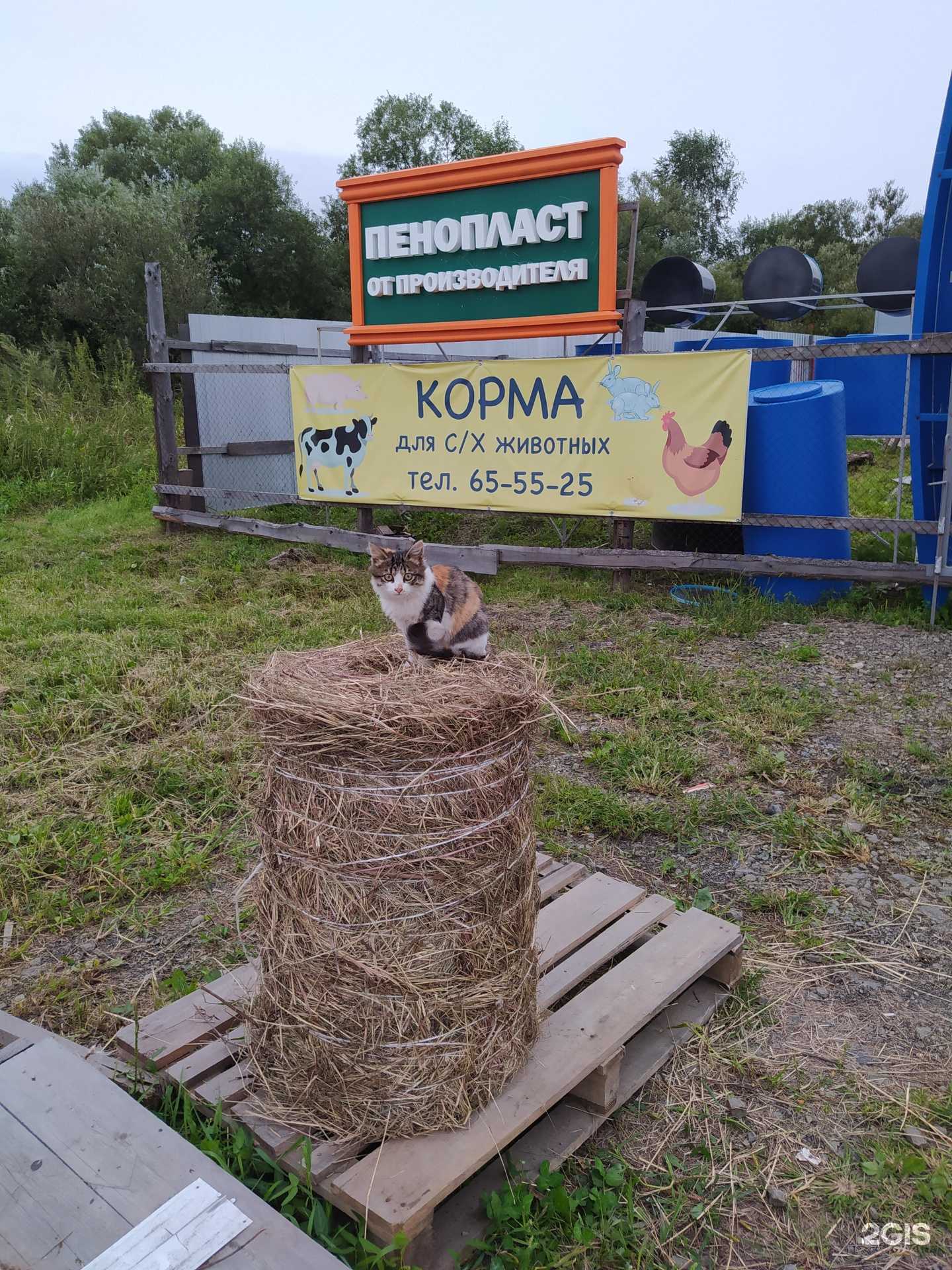 Отзывы на компанию Магазин кормов в Хабаровске c фото - фотография 2 из 2