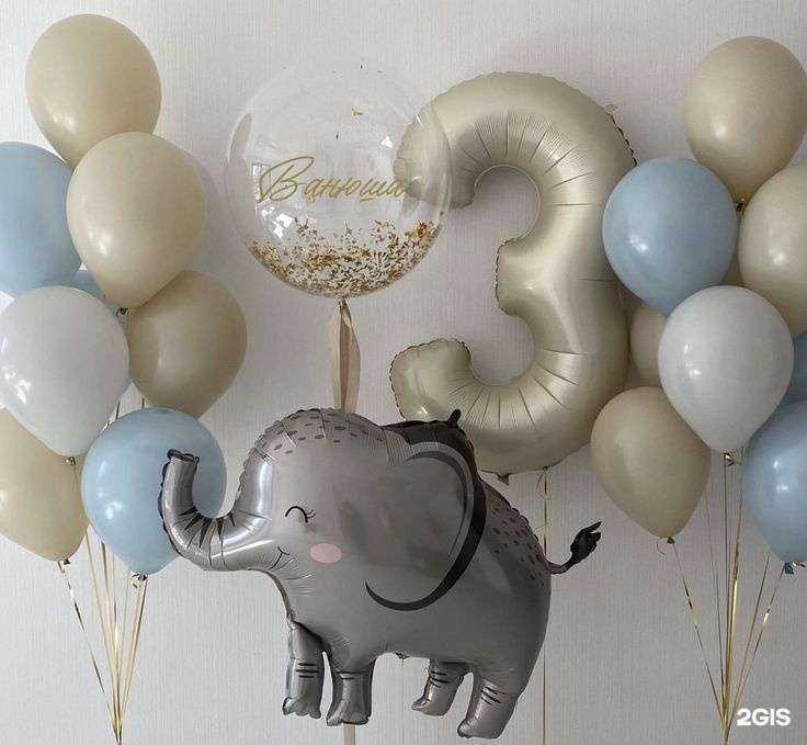 Отзывы на компанию Круглый Кот в Новосибирске c фото