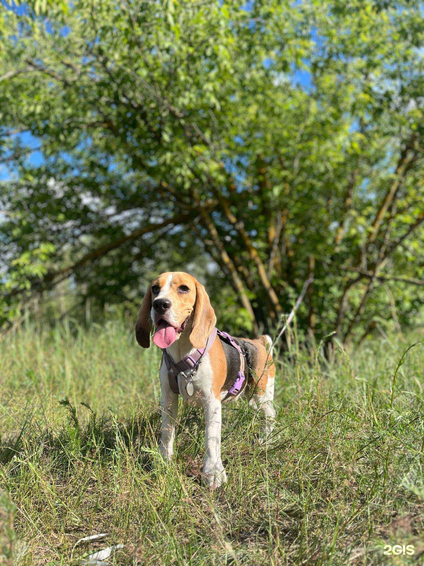 Отзывы на компанию Рыжий кот в Нижнем Новгороде c фото