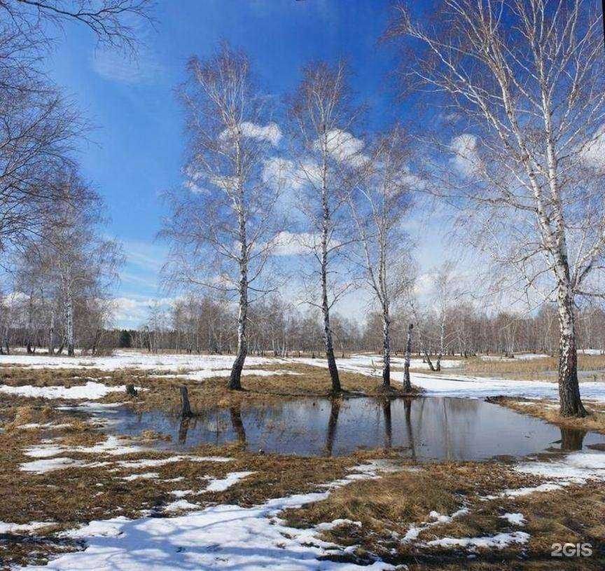 Отзывы на компанию Печатная Лавка в Ростове-на-Дону c фото