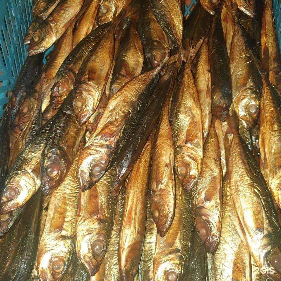 Отзывы на компанию Fishka в г. Сочи c фото